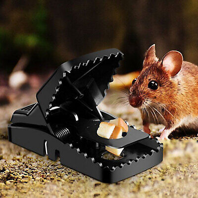 Mouse Catcher